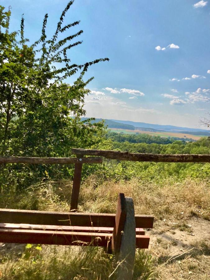 Ferienhaus Moni Mit 2 Separaten Wohnungen Am Silbersee Frielendorf Exteriér fotografie